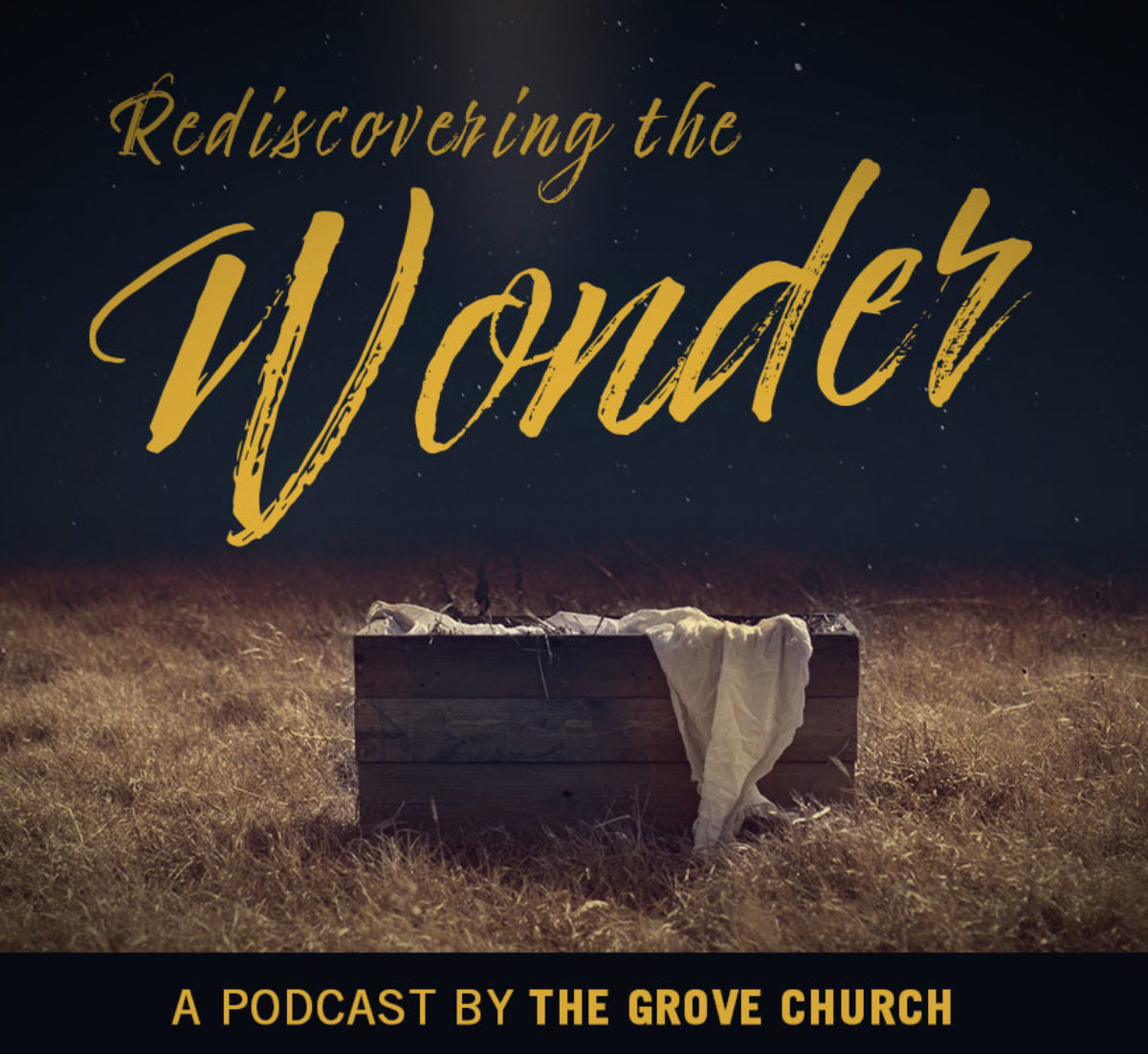 Wonder Podcast Art