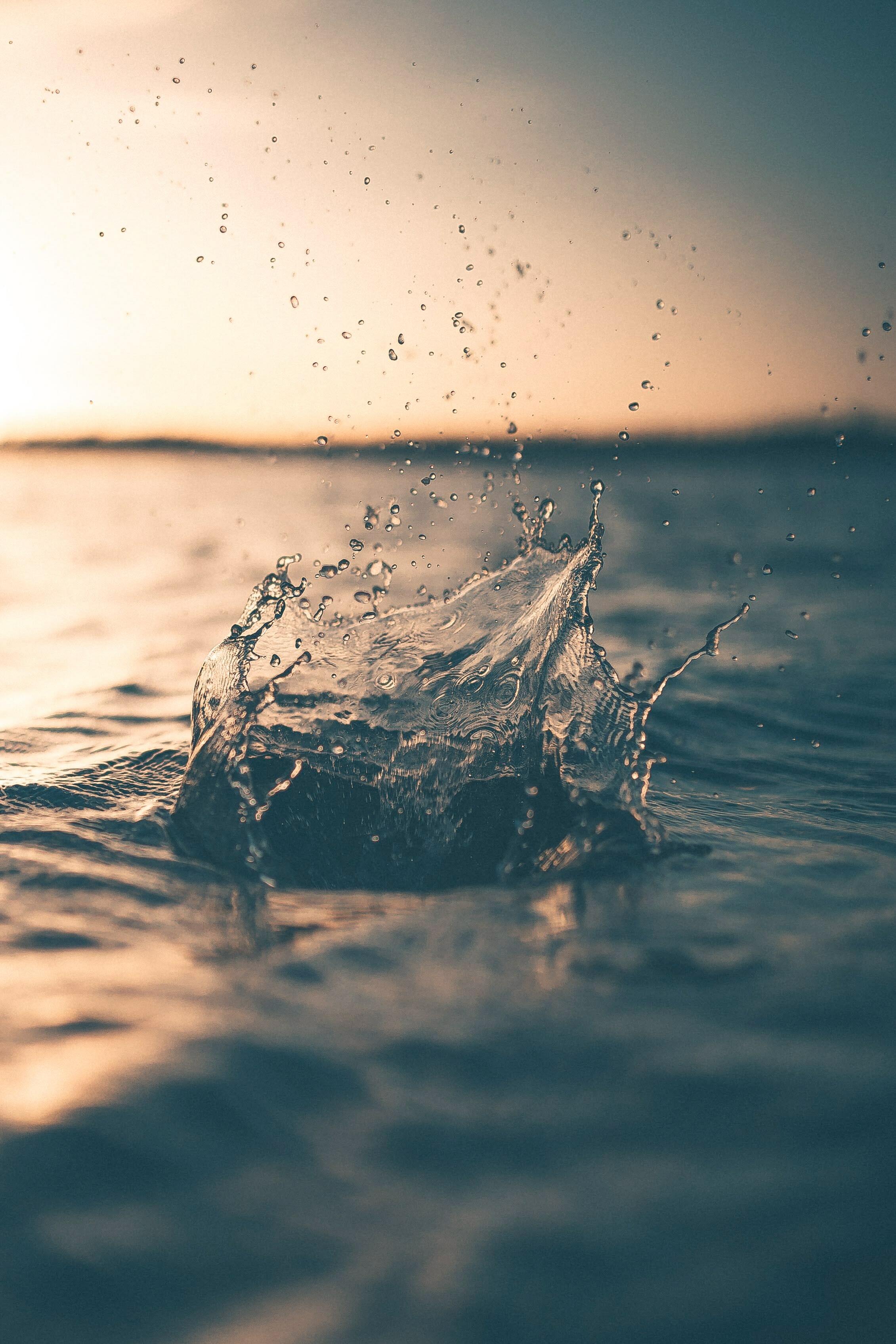 Alex perez w Eg R12 N01 Tk unsplash