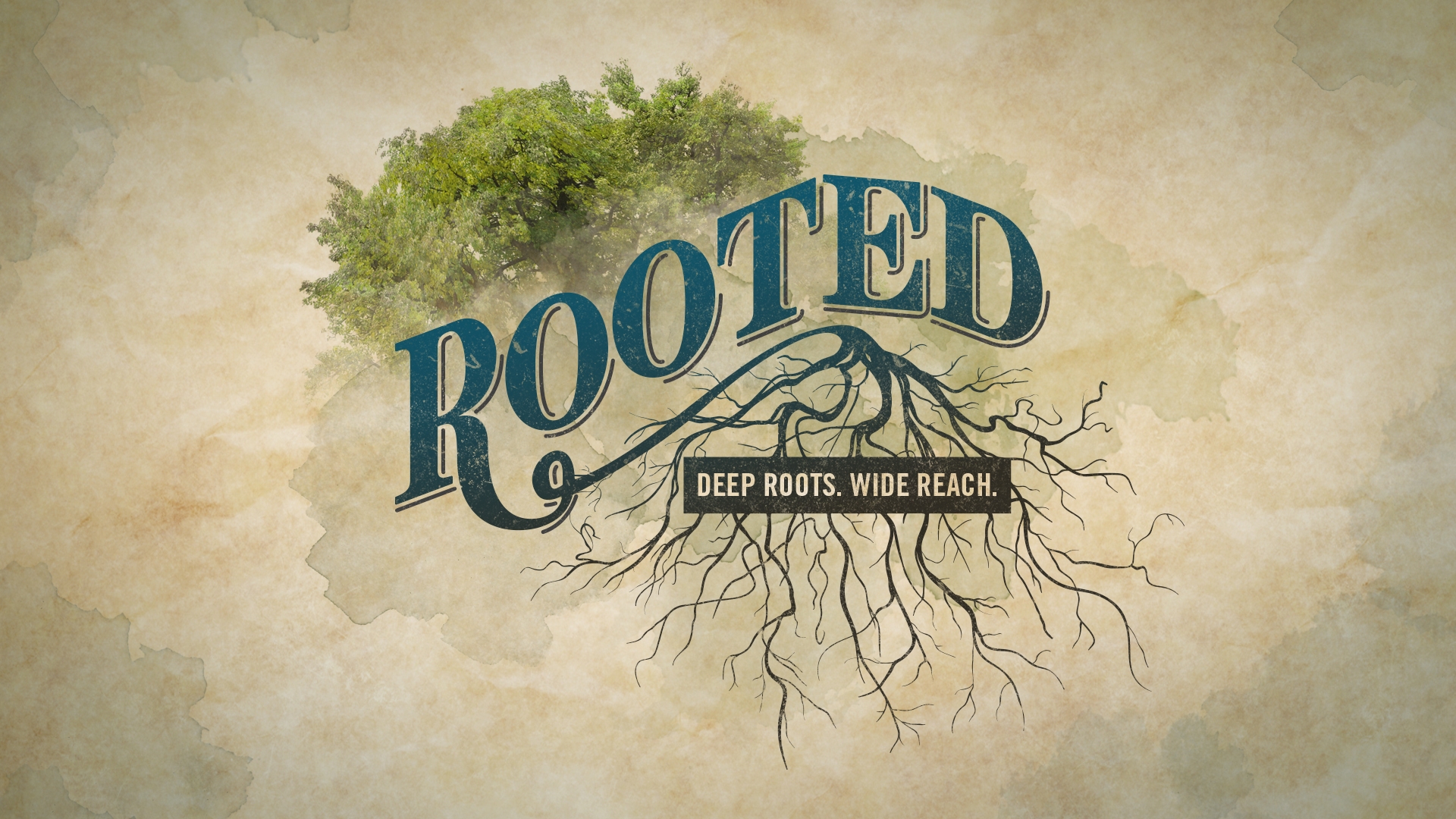 Rooted